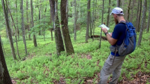 Ţi se va opri inima în loc! Ce a păţit un bărbat care a mers în excursie în pădure (VIDEO)