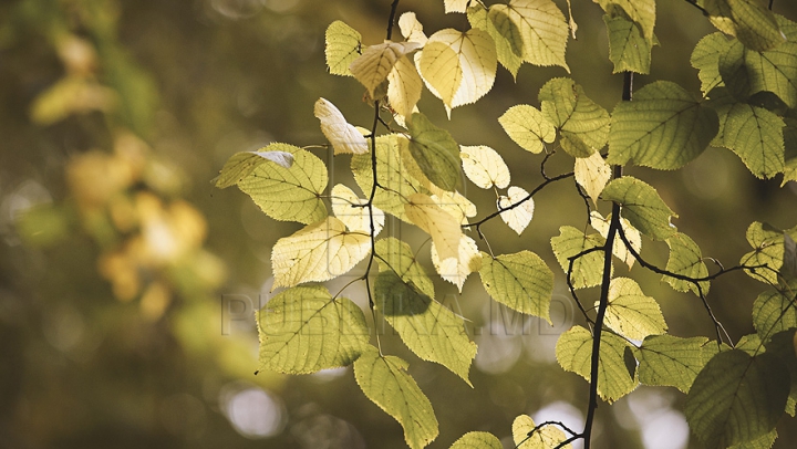 METEO 16 septembrie: Care vor fi maximele termice 