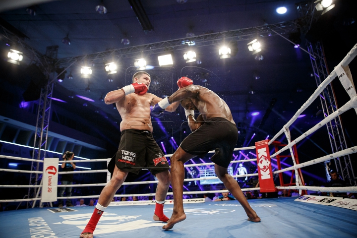 Gala KOK World Grand Prix 2015! IMAGINI SPECTACULOASE de la duelurile dintre luptători (FOTOREPORT)