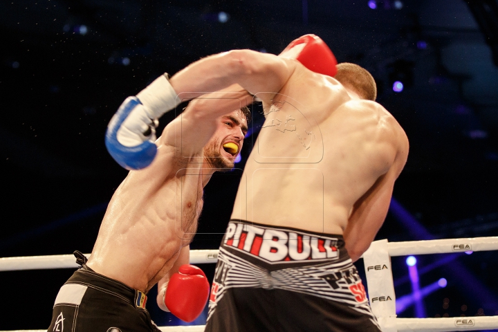 Gala KOK World Grand Prix 2015! IMAGINI SPECTACULOASE de la duelurile dintre luptători (FOTOREPORT)