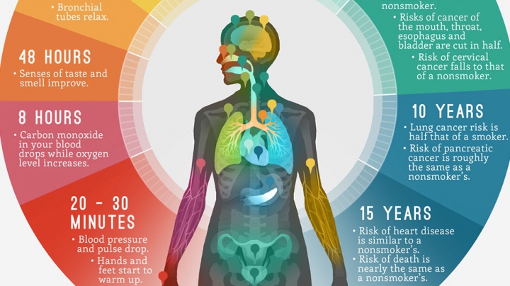 PUBLIKA ONLINE: Cum poţi să creezi un infografic interesant şi eficient