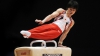 Japonezii sunt noii campioni mondiali la gimnastică artistică 