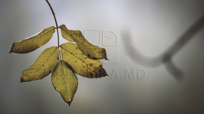 METEO 9 octombrie: Vreme rece, dar fără precipitații în toate raioanele țării 