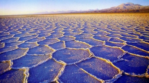 În deşertul Atacama din America de Sud au răsărit florile