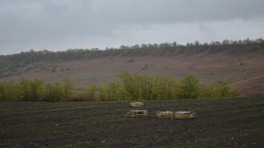 Patru colete suspecte, aruncate pe un câmp. Oamenii legii au aflat cine şi de ce a făcut asta (FOTO)