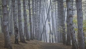 METEO 11 octombrie 2015. Ploile şi ceaţa au învăluit Moldova