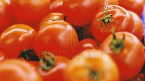 Un camion plin cu roșii s-a răsturnat pe drum. Reacția nerușinată a oamenilor (FOTO)