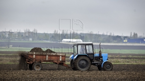 VESTE BUNĂ pentru agricultori. Strategia aprobată de Guvern şi obiectivele prevăzute