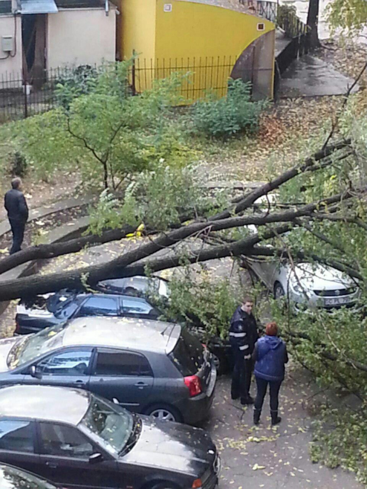 Privelişte ÎNGROZITOARE. Ce a văzut o femeie din Chişinău când a ieşit dimineaţa la balcon (FOTO)