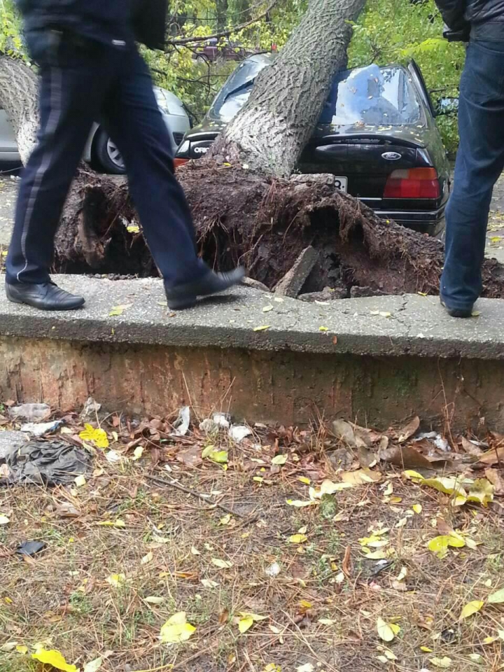 Privelişte ÎNGROZITOARE. Ce a văzut o femeie din Chişinău când a ieşit dimineaţa la balcon (FOTO)