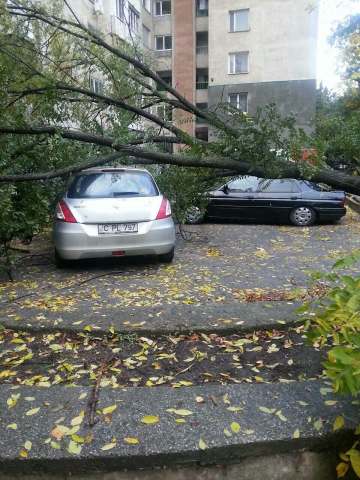 Privelişte ÎNGROZITOARE. Ce a văzut o femeie din Chişinău când a ieşit dimineaţa la balcon (FOTO)