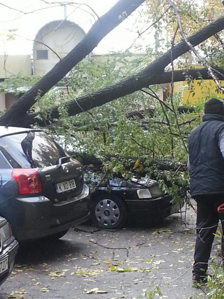 Privelişte ÎNGROZITOARE. Ce a văzut o femeie din Chişinău când a ieşit dimineaţa la balcon (FOTO)