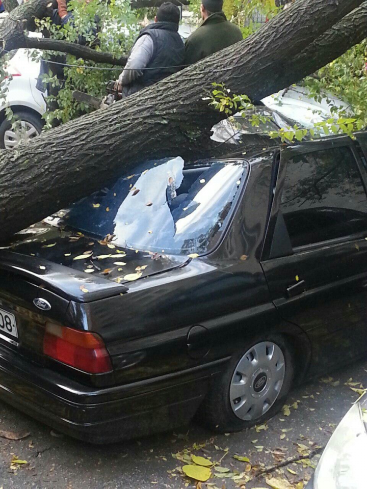 Privelişte ÎNGROZITOARE. Ce a văzut o femeie din Chişinău când a ieşit dimineaţa la balcon (FOTO)