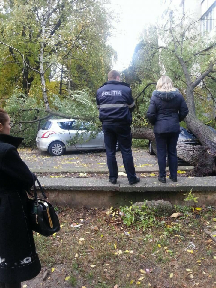 Privelişte ÎNGROZITOARE. Ce a văzut o femeie din Chişinău când a ieşit dimineaţa la balcon (FOTO)