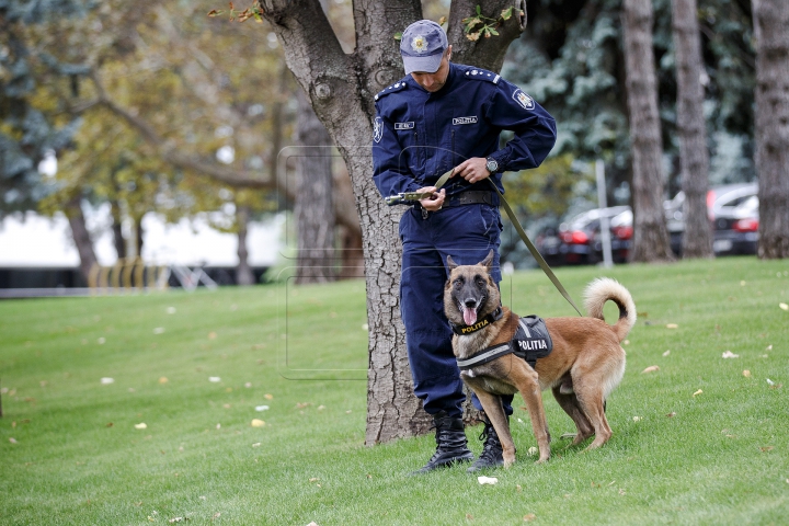 (FOTOREPORT) ALERTĂ FALSĂ cu BOMBĂ în centrul Capitalei. Oamenii legii au deschis un DOSAR PENAL