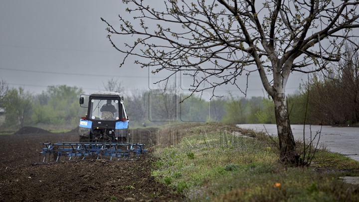 Descoperirea periculoasă a unui tractorist din stânga Nistrului. Imediat a chemat miliţia