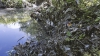 Confruntări cu iz ecologist lângă Chişinău. Cine le poluează râul orăşenilor din Ialoveni