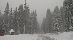 Iarna a făcut primele victime în România. Trei persoane au murit din cauza frigului