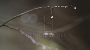 Prognoza meteorologilor pentru următoarele zile: Ceaţă slabă şi izolat ploi