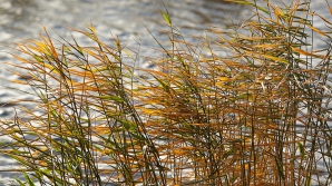 METEO 8 noiembrie 2015: Vreme instabilă în ţară. Unde sunt posibile precipitaţii