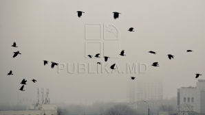 Meteo 28 decembrie 2015. Cum ne surprinde vremea la început de săptămână