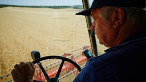 Ziua Agricultorului marcată la Ialoveni. Sărbătoare fără bucurie pentru lucrătorii din domeniu