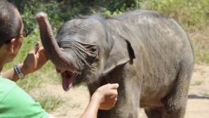 CRUZIME FĂRĂ MARGINI. O mamă şi-a abandonat copilul şi a încercat să-l omoare (VIDEO)