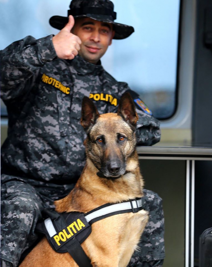 Repetiţii pentru parada din 1 decembrie. Sute de militari români, gata să facă spectacol (FOTOREPORT)