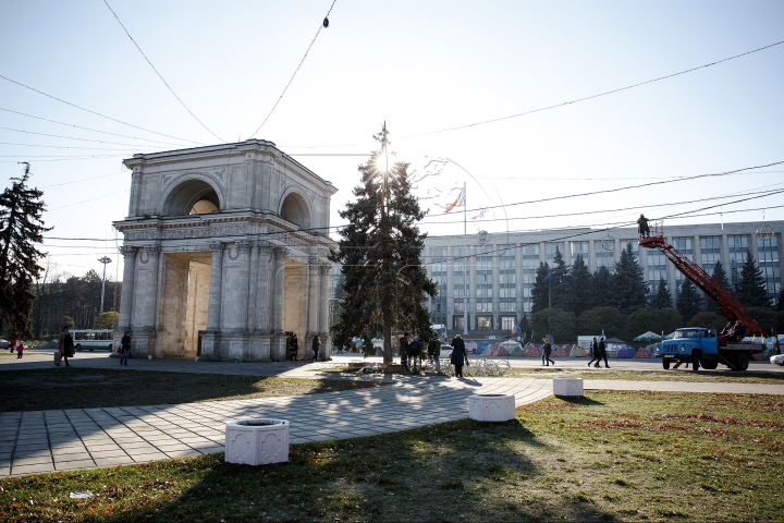 Cum arată principalul Pom de Crăciun al ţării. REACŢIA trecătorilor (FOTO/VIDEO)