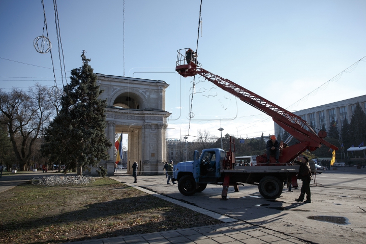 Cum arată principalul Pom de Crăciun al ţării. REACŢIA trecătorilor (FOTO/VIDEO)