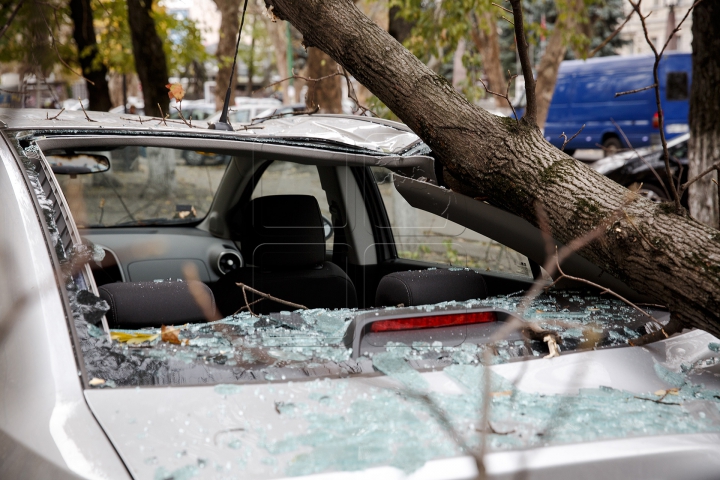 Pagube în urma rafalelor: Crengi rupte şi maşini avariate în Capitală