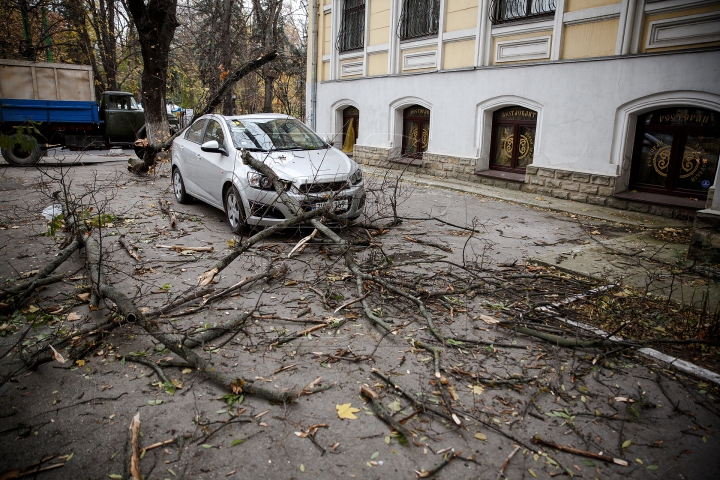 Pagube în urma rafalelor: Crengi rupte şi maşini avariate în Capitală