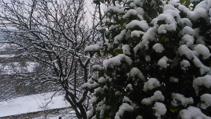 Ninge abundent la Bălţi. Stratul de zăpadă, bucurie pentru copii şi năpastă pentru şoferi (VIDEO)