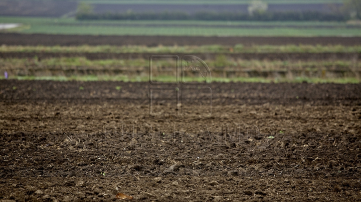 Un consilier local din suburbia Capitalei nu a declarat "din neatenție" 88 de terenuri agricole