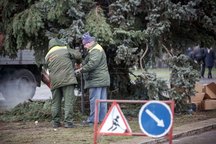 Kilometri de ghirlande şi sute de globuleţe. Cum este împodobit Pomul de Crăciun din Chişinău (FOTO)