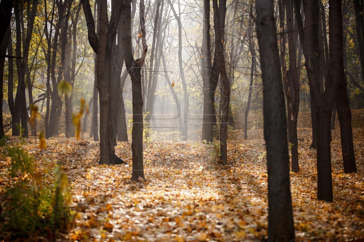 Toamnele, în Moldova toamnele! Cum va fi vremea în următoarele zile (FOTOREPORT)