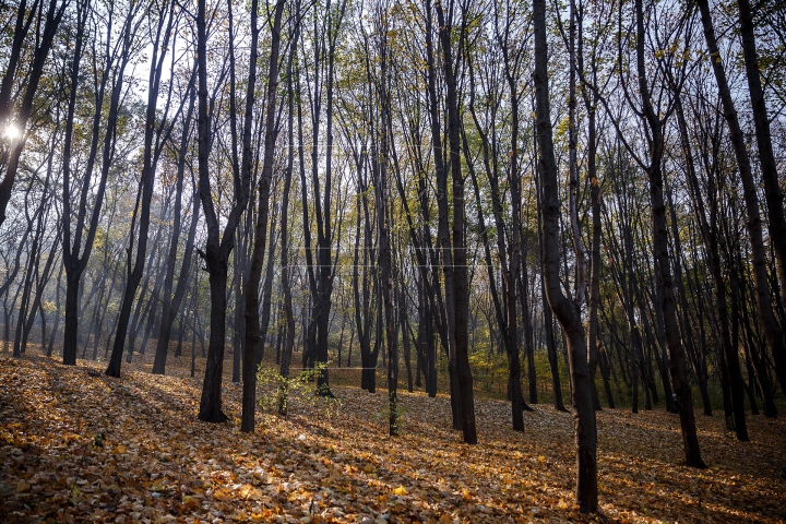 Toamnele, în Moldova toamnele! Cum va fi vremea în următoarele zile (FOTOREPORT)