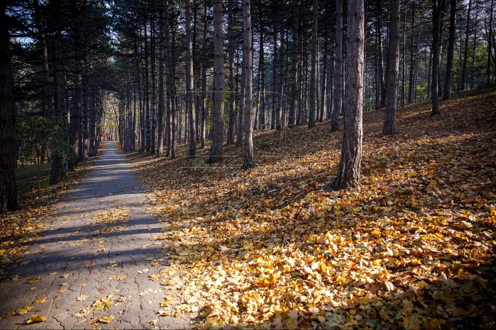 Toamnele, în Moldova toamnele! Cum va fi vremea în următoarele zile (FOTOREPORT)