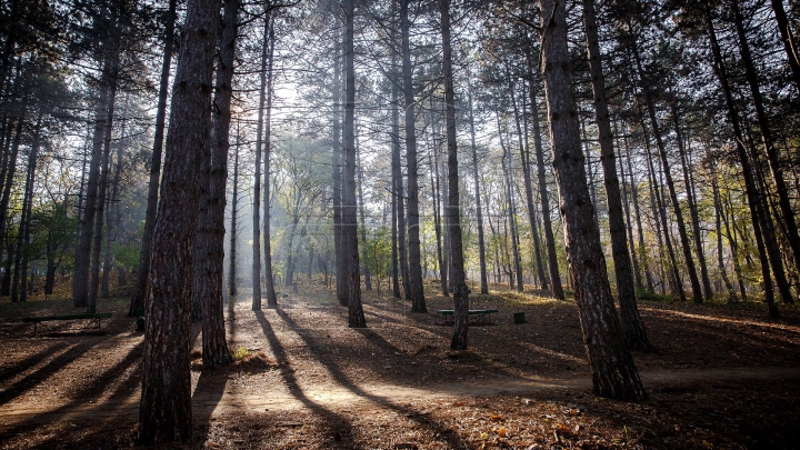 Toamnele, în Moldova toamnele! Cum va fi vremea în următoarele zile (FOTOREPORT)