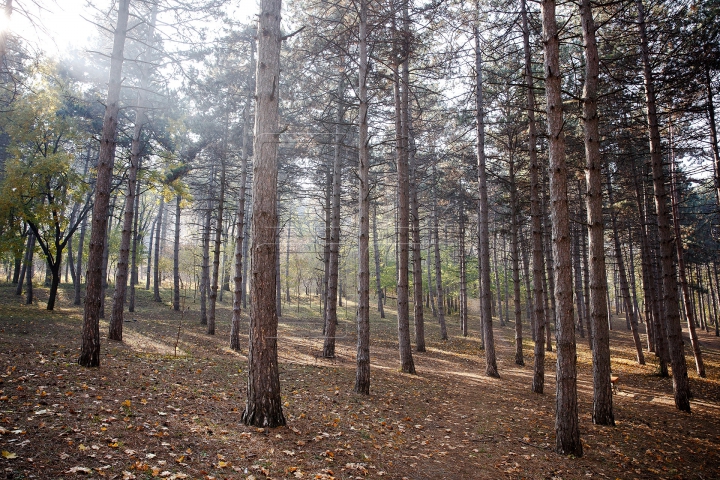 Toamnele, în Moldova toamnele! Cum va fi vremea în următoarele zile (FOTOREPORT)