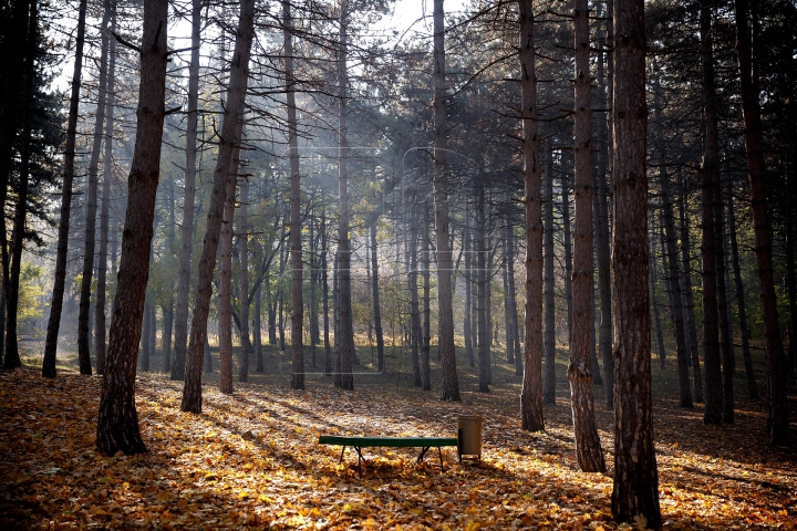 Toamnele, în Moldova toamnele! Cum va fi vremea în următoarele zile (FOTOREPORT)