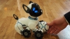 Câinele-robot, CHiP. E mic, jucăuş şi la sigur veţi deveni rapid cei mai buni prieteni (VIDEO)