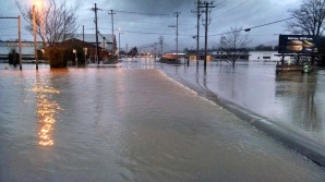 O persoană a murit, iar alte zeci de mii au fost evacuate din cauza inundațiilor puternice din Oregon