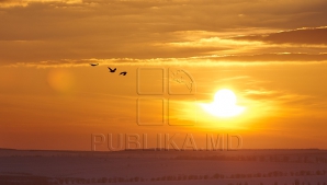 Planeta, ÎN PERICOL! Care ar fi consecinţele unei încălziri globale cu 4 grade Celsius (VIDEO)