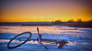Fotografia Zilei. Iarnă în Bucovina