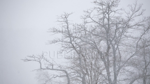 Cer noros și ceață. Meteorologii anunţă care vor fi maximele termice la sfârșitul săptămânii