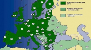 "Am scos gunoiul din casă". Ce spun asiguratorii despre interdicția impusă Moldovei de a vinde Carte Verde