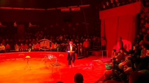 Pentru prima dată la Circ. Zi magică pentru cel puţin 200 de copii din orfelinatele din ţară