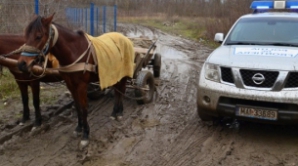 Contrabandă la 16 ani. Ce a ascuns un minor într-o căruță încărcată cu nisip (VIDEO)