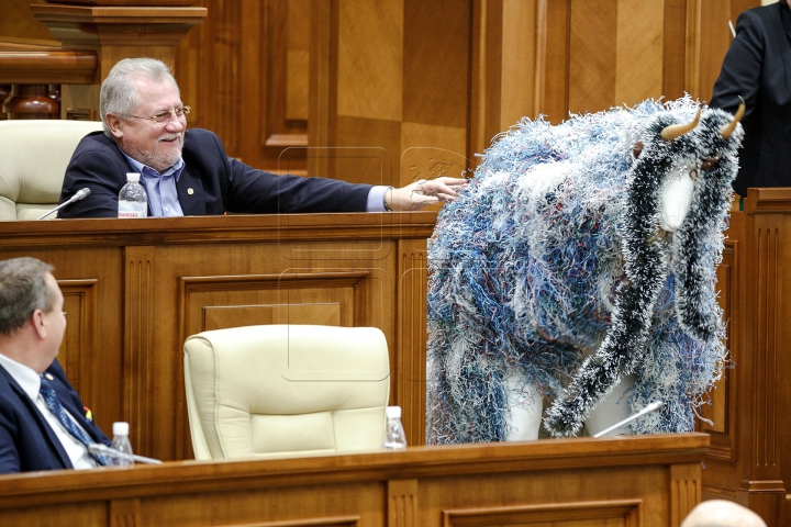 Ultima şedinţă din acest an la Parlament. Deputaţii s-au distrat şi au aplaudat (FOTOREPORT)